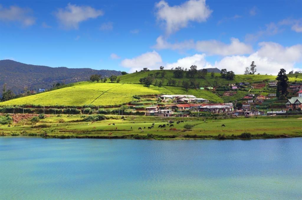 Daffodil'S Hotel Nuwara Eliya Exterior foto