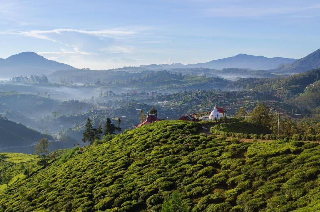 Daffodil'S Hotel Nuwara Eliya Exterior foto